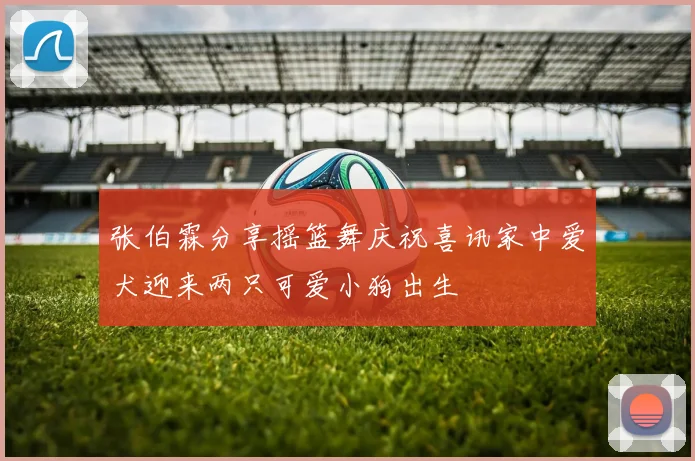 张伯霖分享摇篮舞庆祝喜讯家中爱犬迎来两只可爱小狗出生