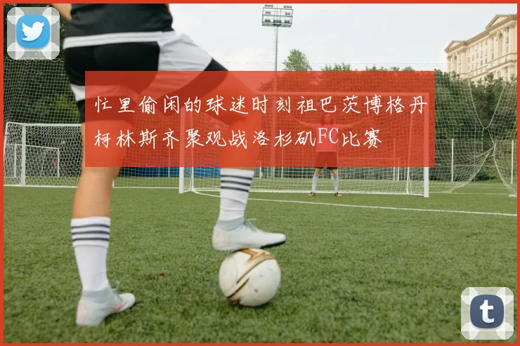 忙里偷闲的球迷时刻祖巴茨博格丹柯林斯齐聚观战洛杉矶FC比赛
