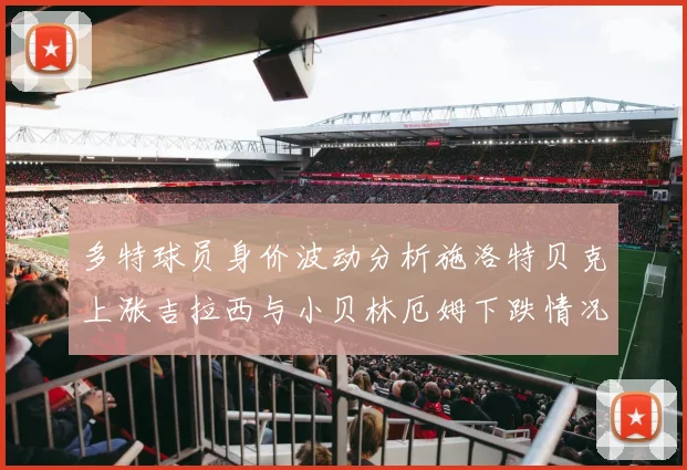多特球员身价波动分析施洛特贝克上涨吉拉西与小贝林厄姆下跌情况解读