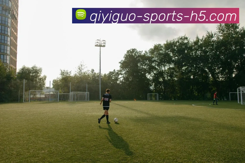 App Interface Preview